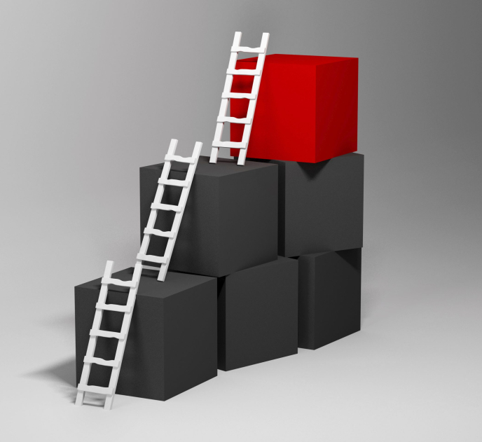 Cubes with ladders